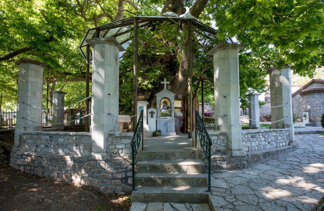 Traditional Luxury Villa Armonia 艾伊翁 外观 照片